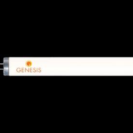 Genesis F72 Replacement Tanning Bed Bulb by JK-Light