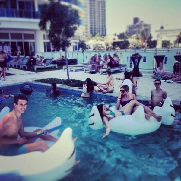 Giant Ride On Inflatable Swan by Swimline